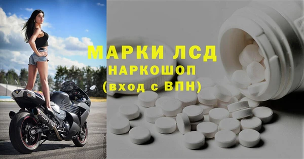 индика Лабытнанги