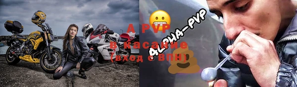 индика Лабытнанги