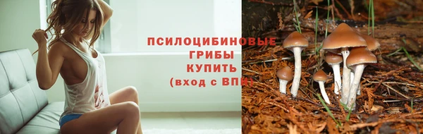 индика Лабытнанги