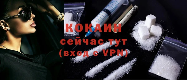 индика Лабытнанги