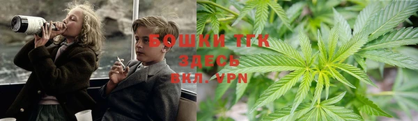 индика Лабытнанги
