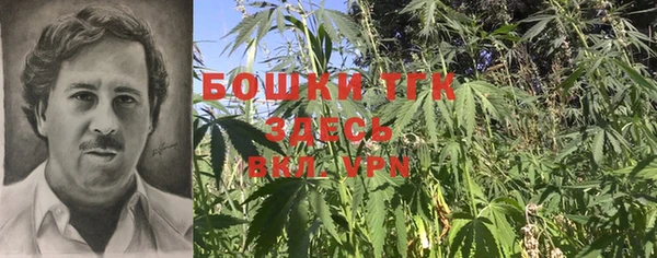 индика Лабытнанги