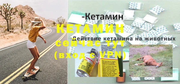 индика Лабытнанги