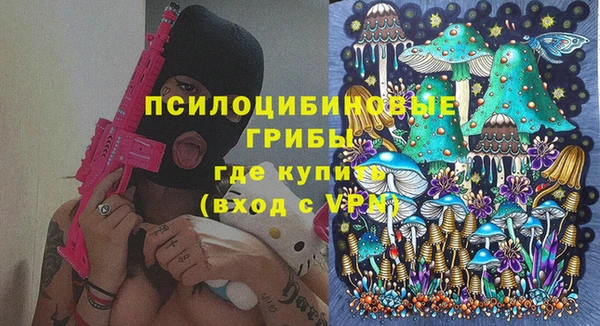 стаф Ладушкин