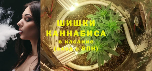индика Лабытнанги