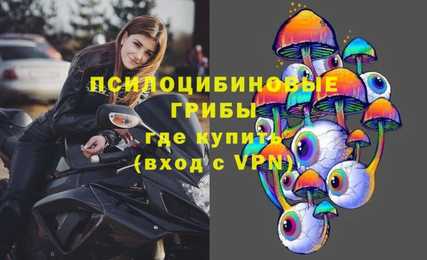 стаф Ладушкин