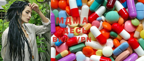 индика Лабытнанги