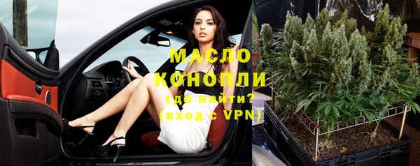 индика Лабытнанги