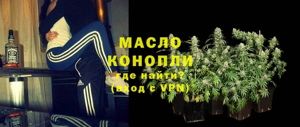 индика Лабытнанги
