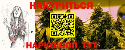 индика Абакан