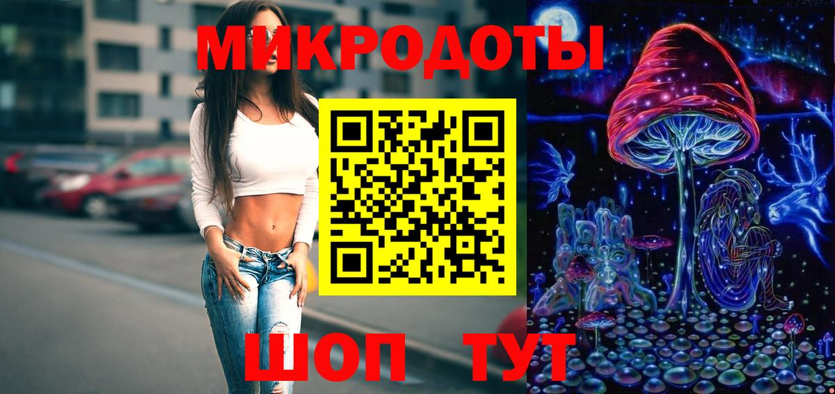 Псилоцибиновые грибы Cubensis Казань